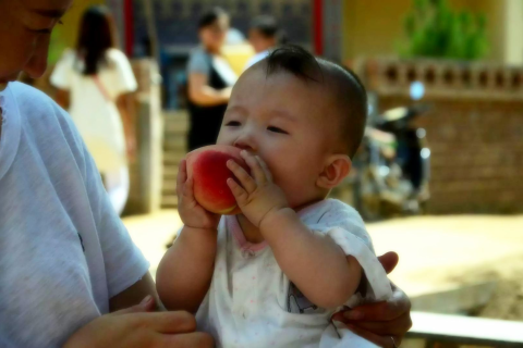 梦见自己跟小孩抢桃子吃，解读梦境中的纯真与欲望