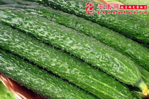 做梦梦到摘黄瓜，寓意与梦境解析