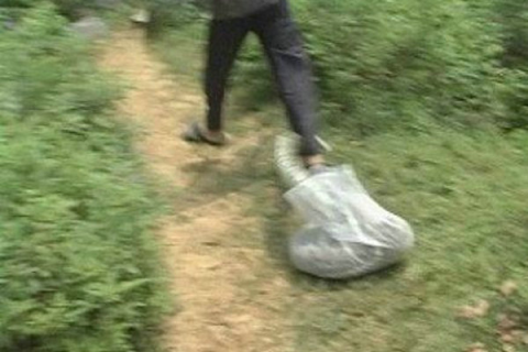 梦境中的抉择，为何梦到一条大蛇咬人我却未打蛇？