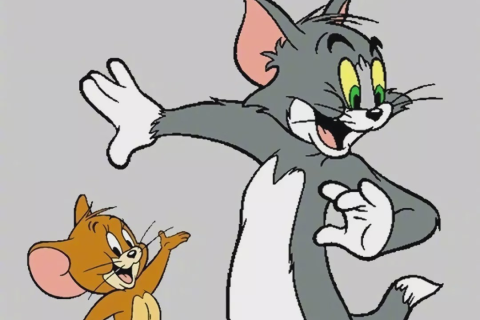 梦见猫和老鼠，梦境背后的深层含义与心理解析