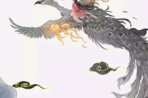 我梦见我抓到一只凤凰，神话与现实交织的梦境解析