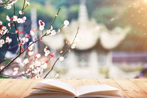 梦见买花，心灵之美的预兆与解读
