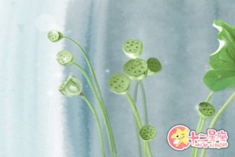 梦见蛇咬了我的脚，潜意识中的警示与启示