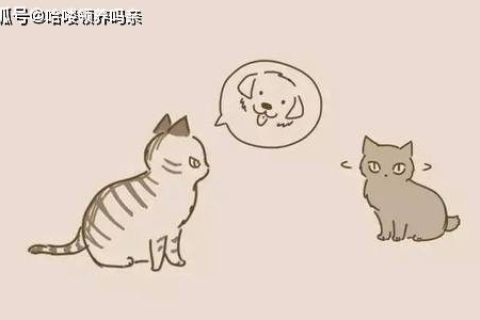 梦境解析，梦见逝去的猫被狗吞噬的深层含义