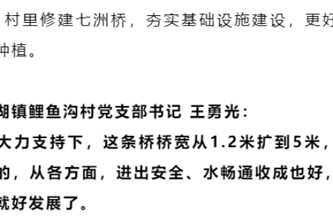 梦境启示，从鱼困水沟到生命转折的深层解析