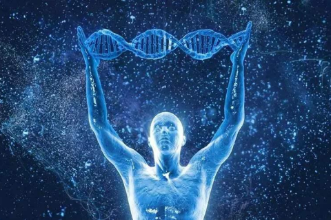 梦见买一副黑色手套并带上了，探索潜意识的象征与启示