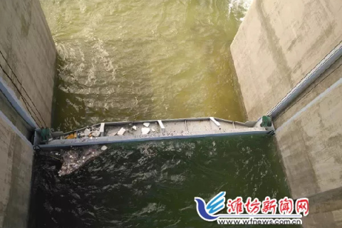 梦到涨大水有什么预兆吗，探索梦境中的洪水与深层心理暗示