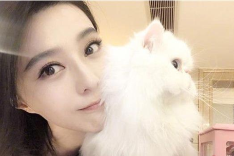 我家条件不错，早上做梦梦到前男友，一场梦境的深层解读与情感反思