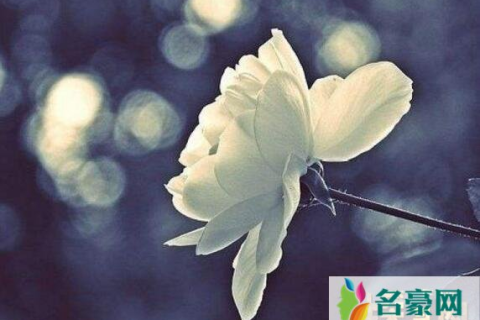 解梦，梦见逝去亲人，是灵魂的低语还是内心的映射？