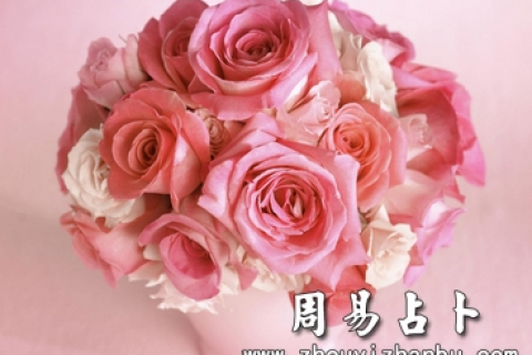 梦见自己送给领导的花，寓意解析与心灵启示