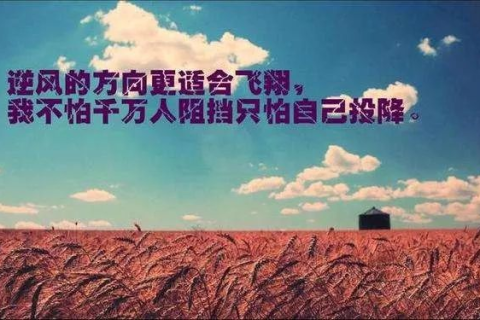 梦境与现实交织，我婆婆的未竟之言