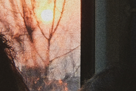 梦境中的重逢，爸爸归来与窗外低语