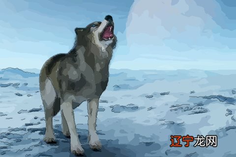 梦见被两只狼咬，探索潜意识中的警示与启示