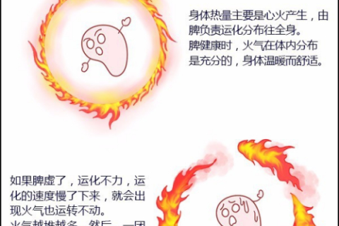 梦见牙齿碎了，解读梦境中的警示与启示