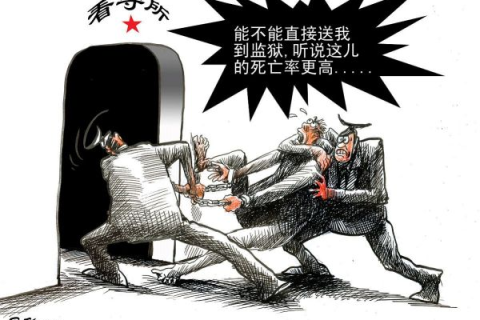 梦见二头大蛇，梦境背后的深层含义与启示