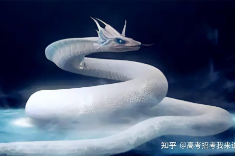 梦见两条银白色大蛇，预示未来变化的预兆