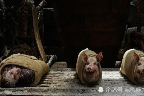 梦境中的双猪之谜，探索两头猪一头被杀一头未杀的无名死亡之谜