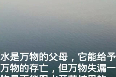 重逢旧梦，解析梦到已经分手的男友的心理意义