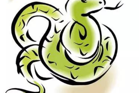 怀孕老公梦中毒蛇相随，寓意、解析与心灵慰藉
