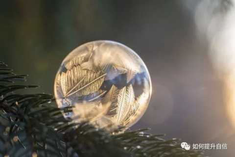 梦到大蛇，潜意识的启示与心理解析