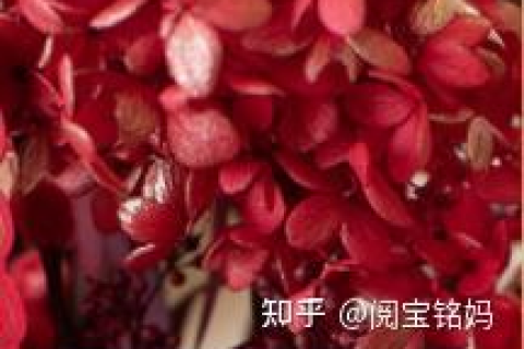 女人梦见花生是胎梦吗？解析梦境中的花生象征与寓意