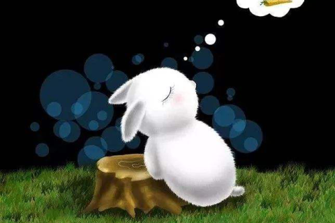 梦见牙掉，梦境背后的深层含义与心理解析