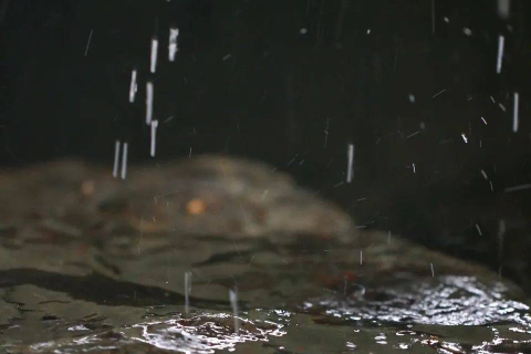 梦境中的雨趣，探索梦到下雨天和小伙伴玩耍的深层含义