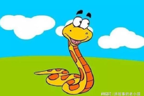 梦见兔与蛇，梦境中的微妙寓言与心理解析