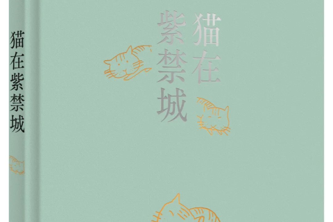 梦境解析，为何梦中会出现众多小猫及死去的猫？