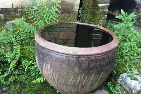 梦见把脏水往自家水缸里倒过后又把水缸洗干净，净化心灵，迎接新生的预兆