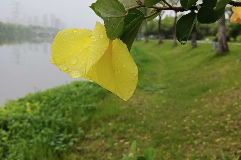 梦见钓鱼却钓到蛇，潜意识的隐喻与心灵深处的启示