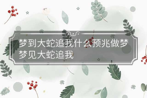 梦见大蛇追我要吃我，梦境背后的深层含义与解析