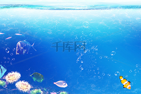 梦见做鱼吃，探索梦境背后的深层含义