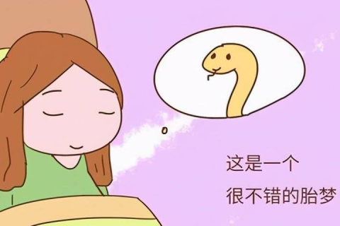 梦见自己怀孕生个女儿，寓意与解析