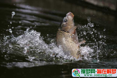 梦见钩到鱼，寓意、解析与心灵启示