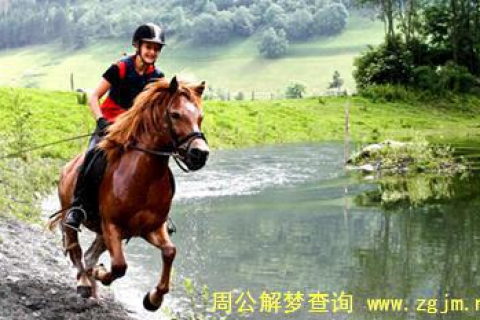 梦见骑马，探索梦境中的自由与冒险