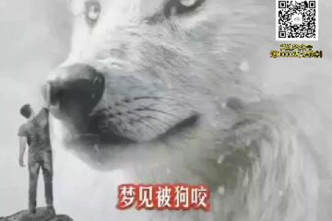 梦见被狗咬去打针，梦境背后的深层含义与心理解析