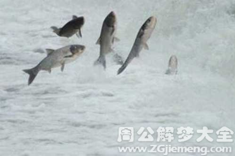 梦境解析，梦见涨大水与错失的大鱼