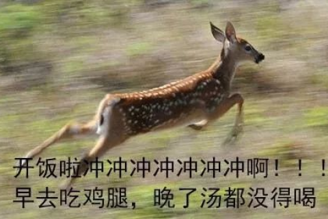 梦见两次蛇是胎梦吗？准吗？深度解析梦境与现实的交织