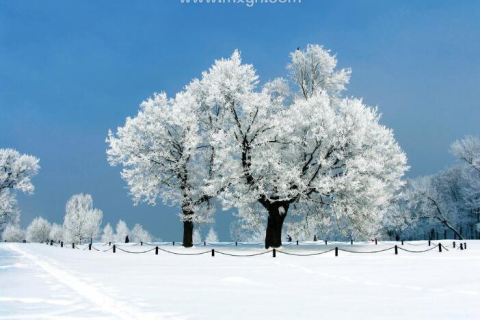梦见雪的含义是什么，探索梦境中的纯净与变革