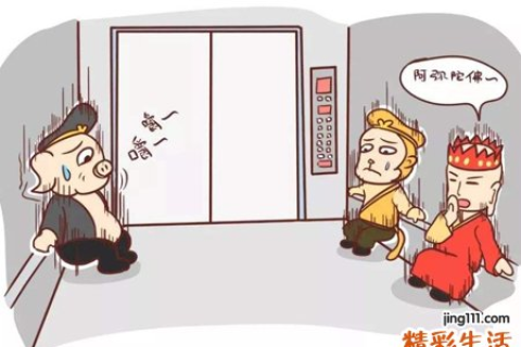 梦境奇境，探索梦见坐电梯到了109楼的深层含义