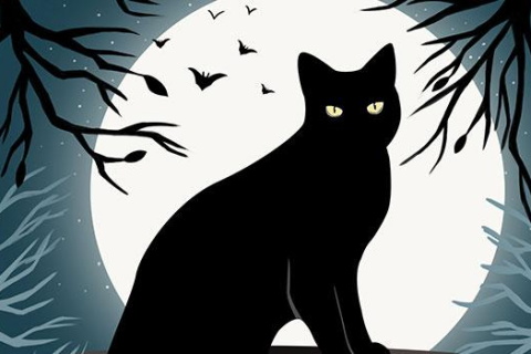 我梦见我在找一只黑色的猫，探索梦境中的神秘与启示