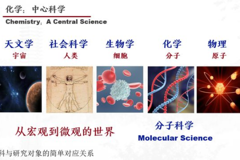 未婚梦境中的生命之谜，探索生子梦背后的深层含义