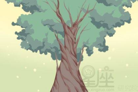 梦境中的陌生熟悉，解析梦见不认识却似曾相识之人表白之谜