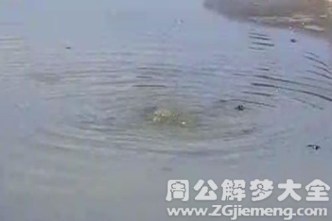 梦到河里有很多泥鳅，探寻梦境背后的深层含义