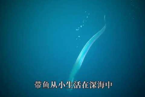 梦见有人对自己说自己活不过今天，梦境背后的深层含义与解析