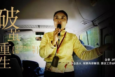 梦境中的生死较量，从蛇口救母与重生之旅