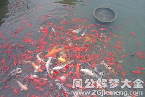 梦境解析，梦见陌生人遭遇灾难的深层含义