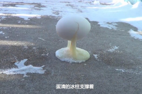 梦见鸡蛋破了，解读梦境背后的深层含义
