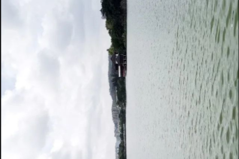 梦境解析，小青蛇的隐喻与自我成长之旅